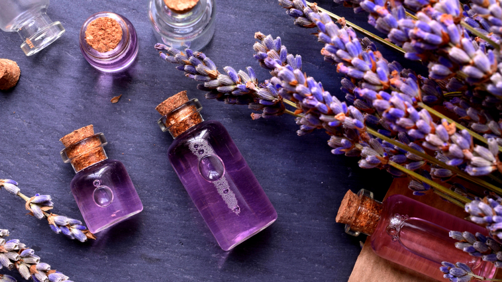 lavender - scents that flies hate